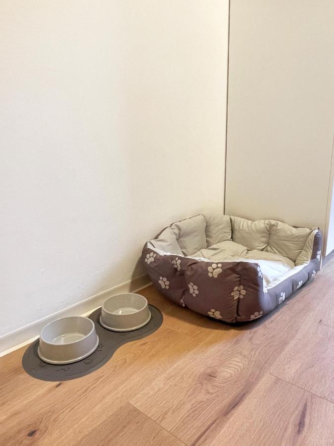 Moderne Studio Apartments In Nuernberg Ngoại thất bức ảnh